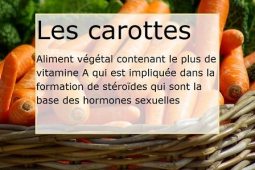 carottes-fertilité